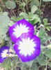 IMG_20140717_083159