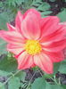 IMG_20140717_083336