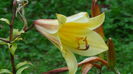DSC03336