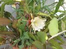 IMG_20140717_133735