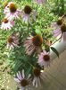 IMG_20140717_134027
