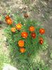 IMG_20140717_134038