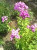 IMG_20140717_134107