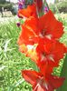 IMG_20140717_133316