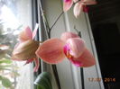 DSCN5783