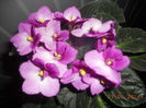 DSCN5771