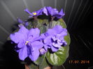 DSCN5772