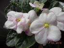 DSCN5773
