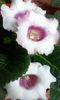 IMG_20140715_144341
