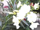 IMG_20140717_202349
