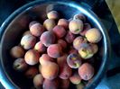 IMG_20140717_202518