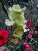 DSC00660