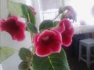 IMG_20140717_163004
