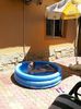 Distractie maxima in piscina...din curte