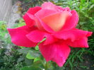 IMG_20140715_085722