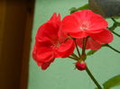 DSCN7770