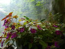 DSCN7785