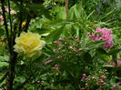 DSCN7797