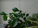 DSCN7823