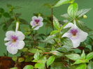 DSCN7830