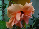 DSCN7848