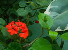 DSCN7854