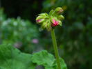 DSCN7895