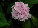 DSCN7908