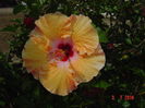 051