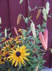 DSCF0864