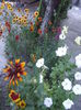 DSCF0866