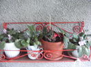 DSCF0870