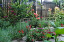 gradina 18 iulie