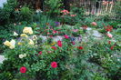 gradina 18 iulie
