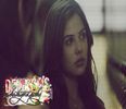 ┊deɴιι┊¤ia cartea şi o aruncă pe geam¤ serios? nicio îmbrăţişare? nimic? #fane