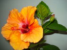 DSC08861