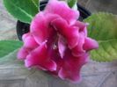 20140719_100317