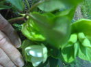 01012006167