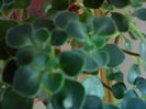 01012006179