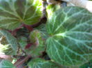 02012006199