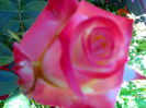 02012006207