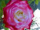 02012006208