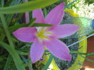 02012006209