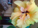 02012006213