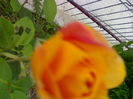 02012006219