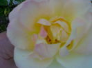 02012006221
