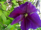 02012006222
