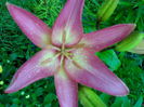 05012006234