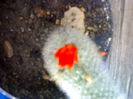05012006235