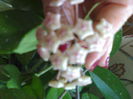 05012006236
